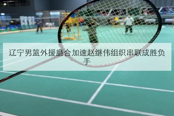 辽宁男篮外援磨合加速赵继伟组织串联成胜负手